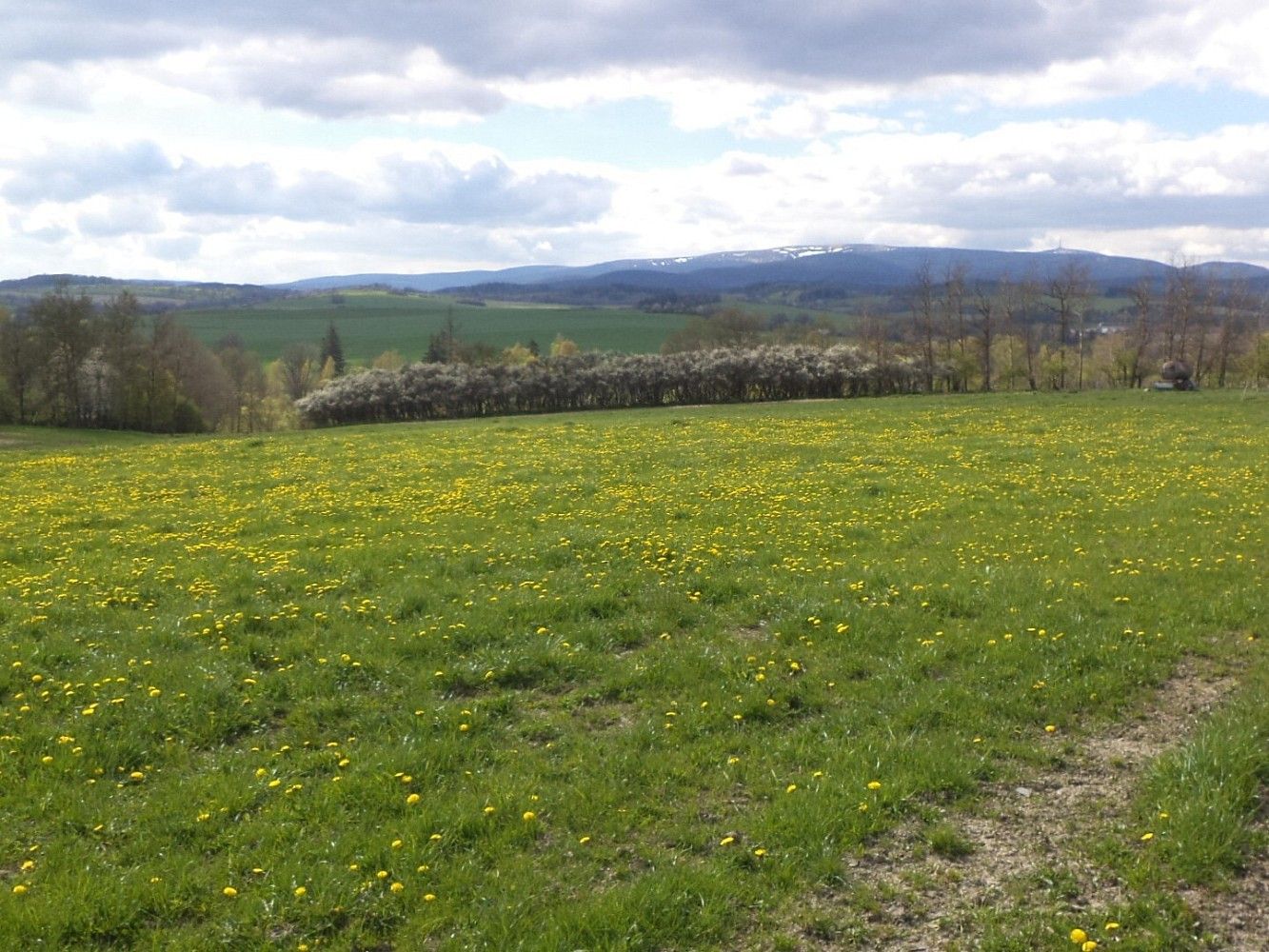 Louka · Světlá Hora, okres Bruntál, Moravskoslezský kraj - 2