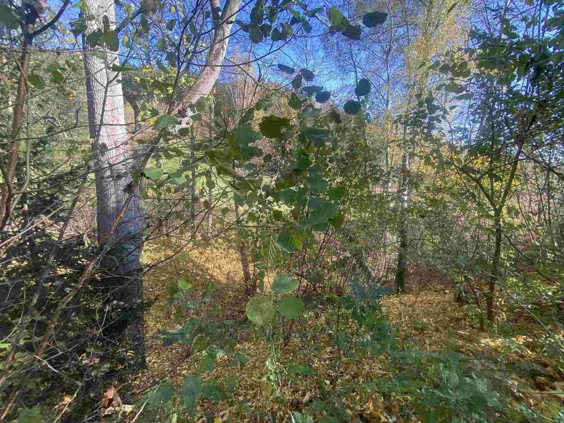 Ostatní, Jindřichov, Lučany nad Nisou, 449 m²