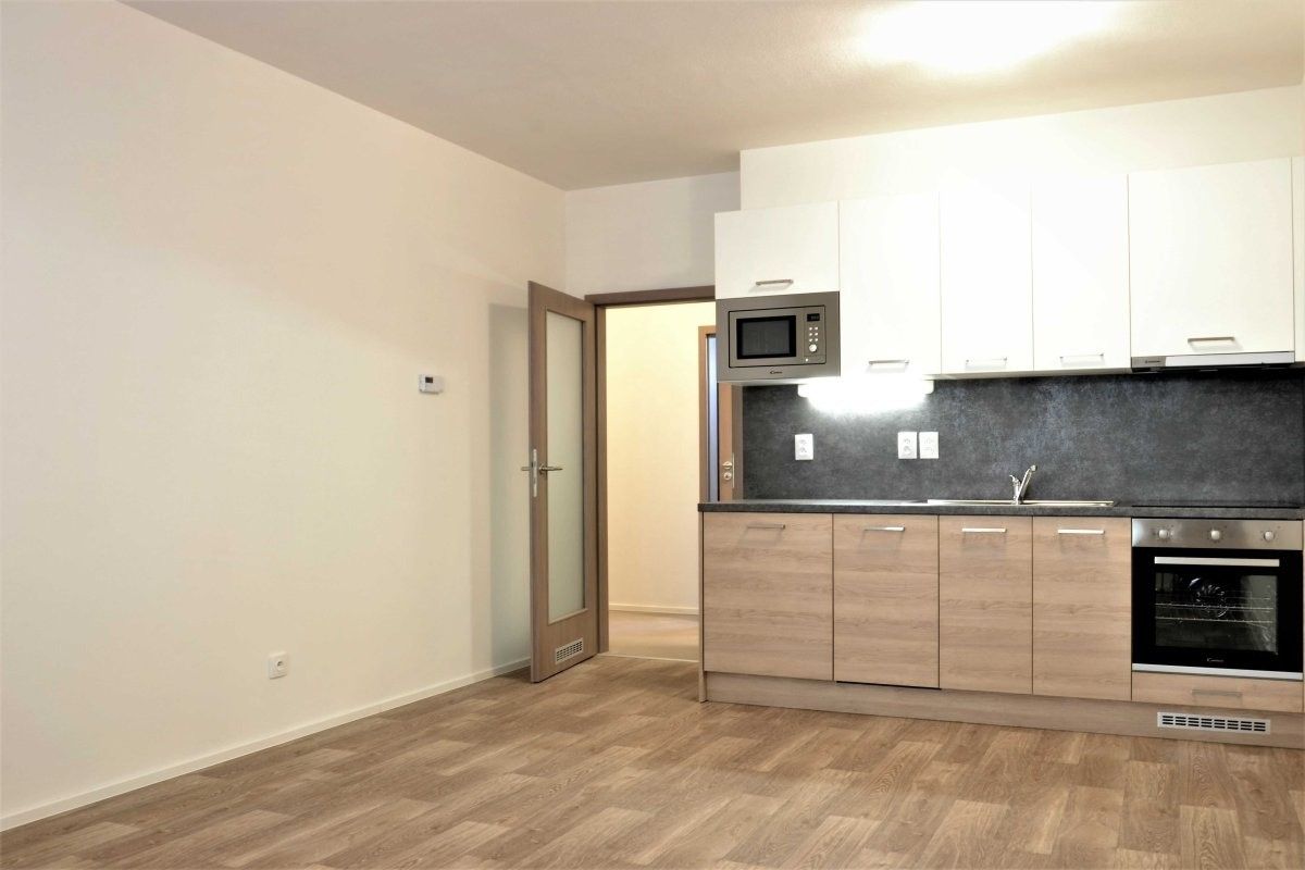 1+kk, Turgeněvova, Brno, 40 m²