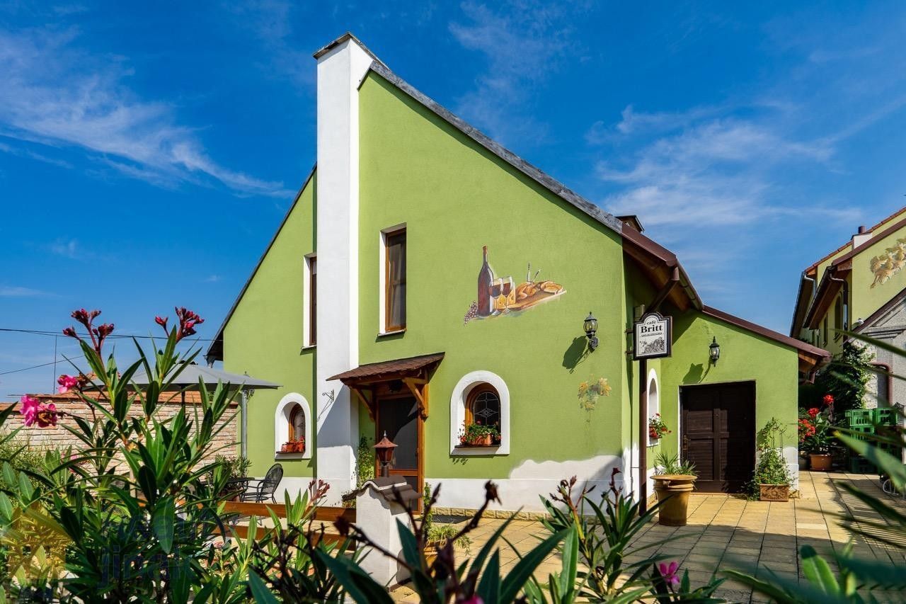 Restaurace, Hlavní, Dolní Dunajovice, 300 m² - 1