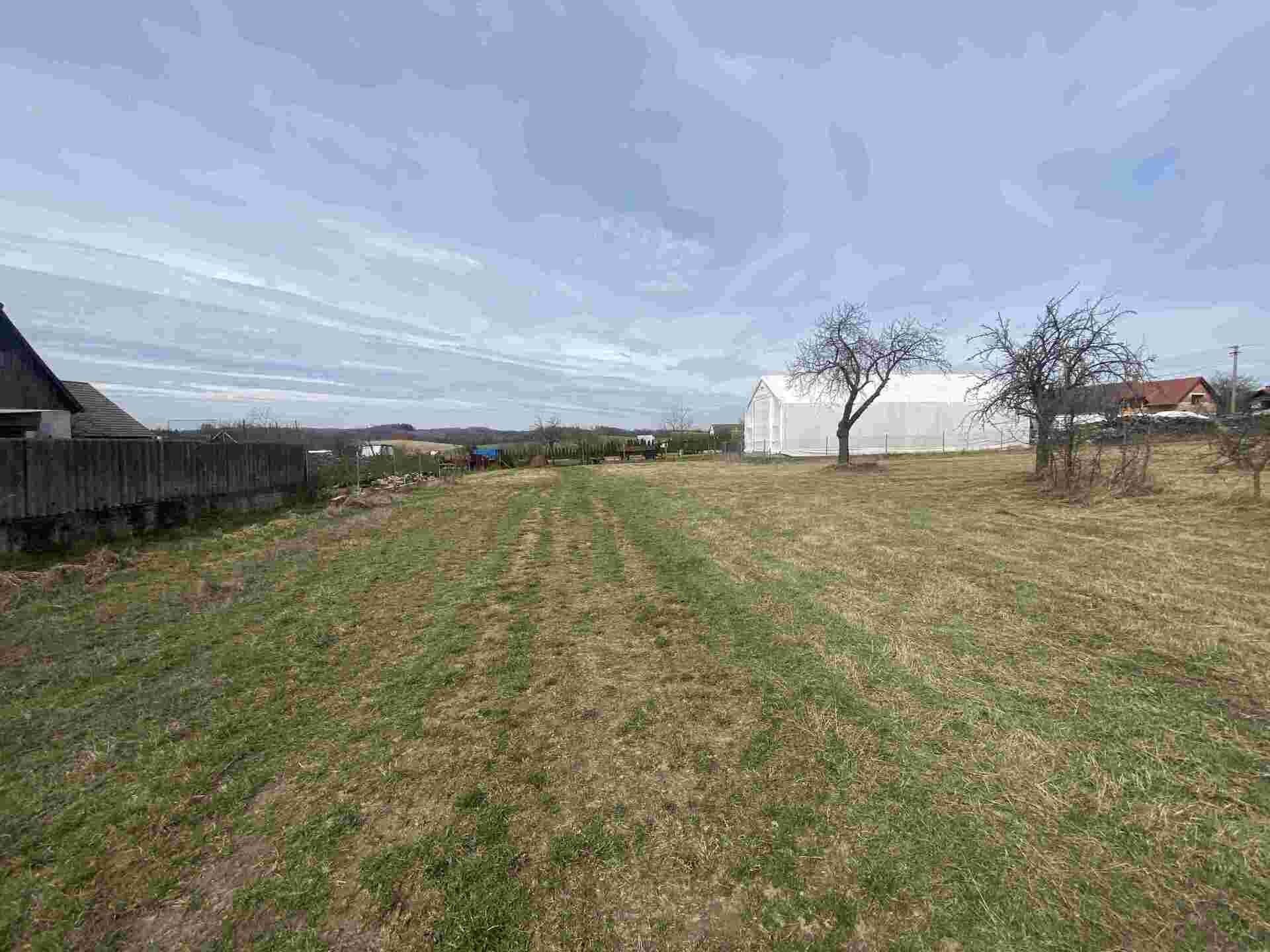 Prodej pozemek pro bydlení - Zálesí, 1 254 m² - 1