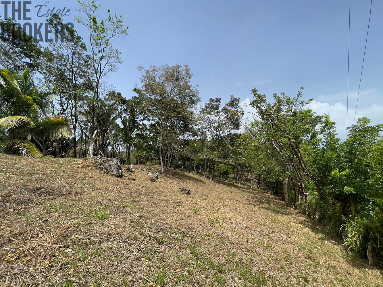Pozemek pro bydlení · Coxen Hole, Roatán, Honduras - 3