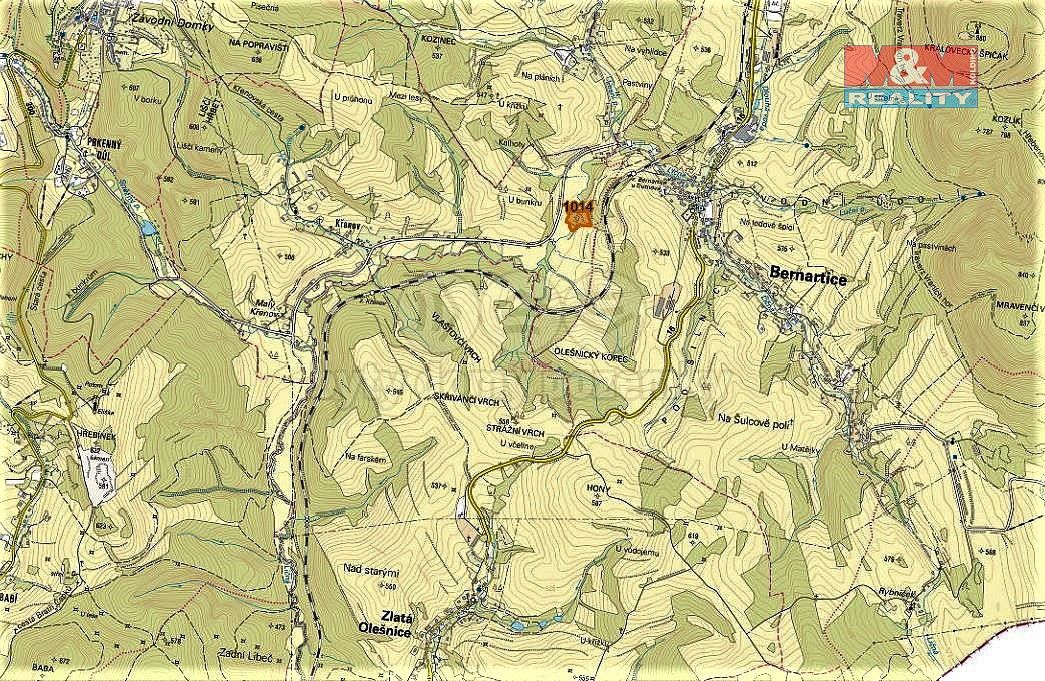 Louka · Bernartice, okres Trutnov, Královéhradecký kraj - 4