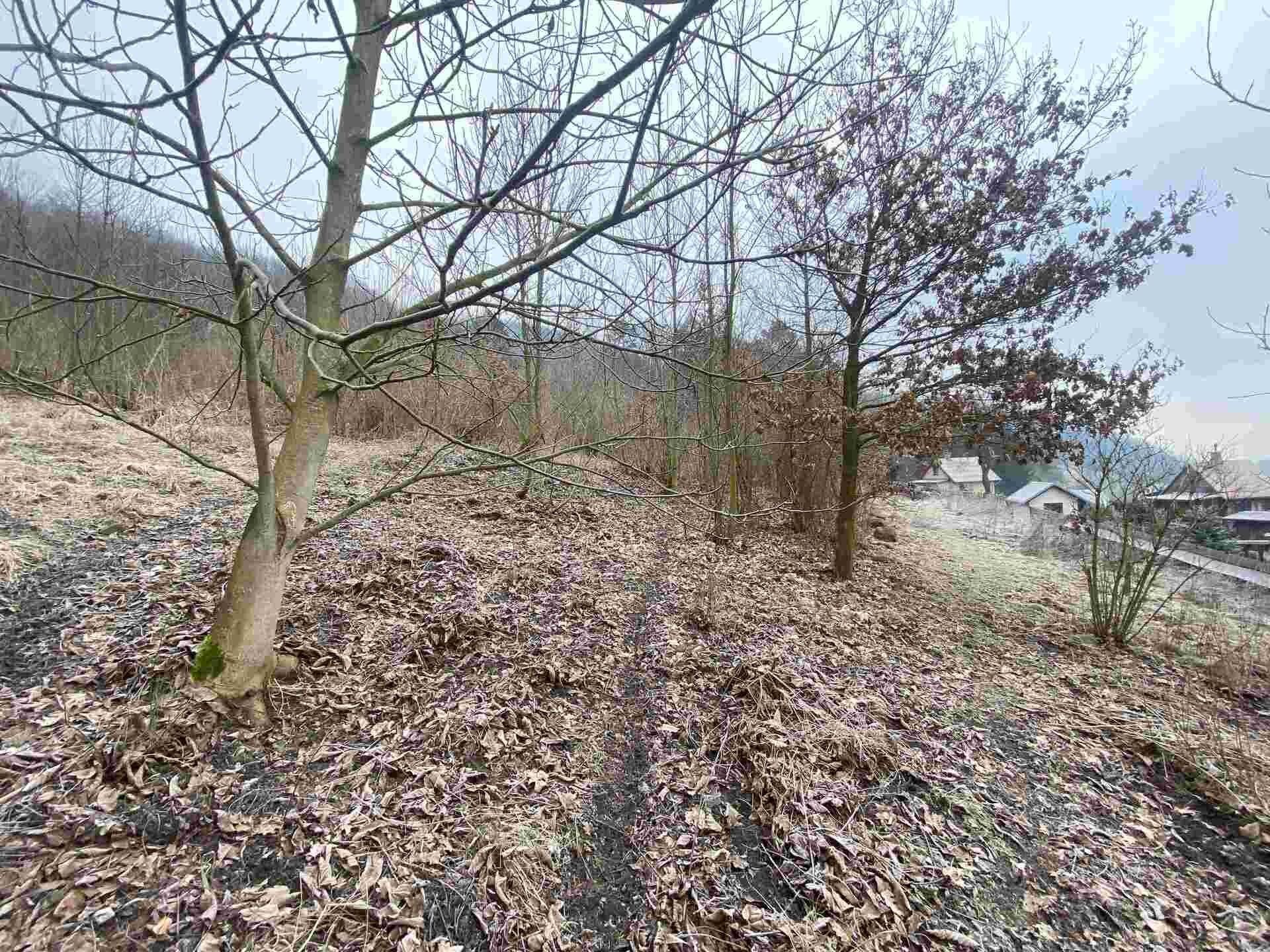 Prodej pozemek - Ryjice, 3 m²