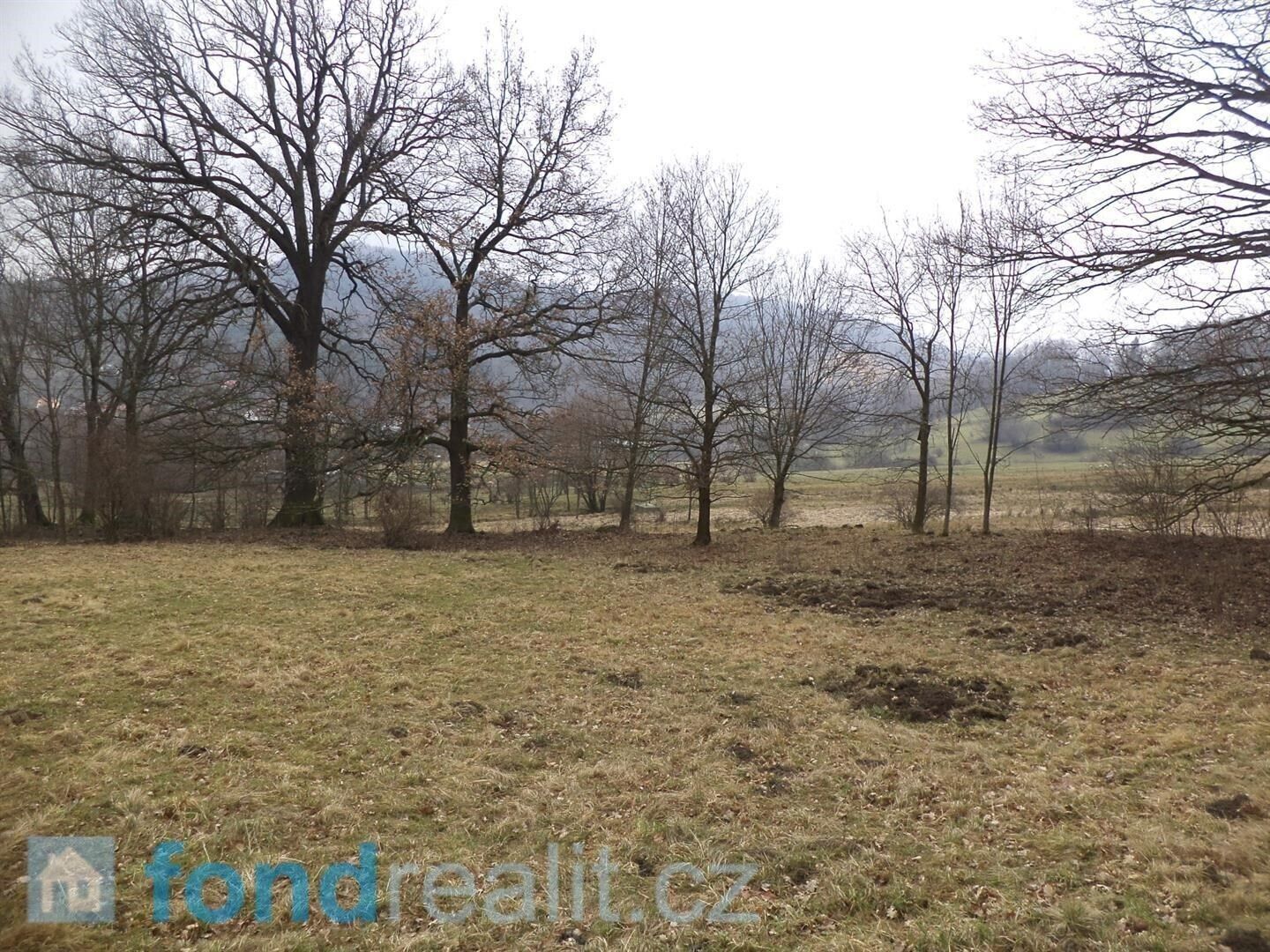 Zemědělský pozemek · 5 161 m² · Česká Kamenice Horní Kamenice - 4