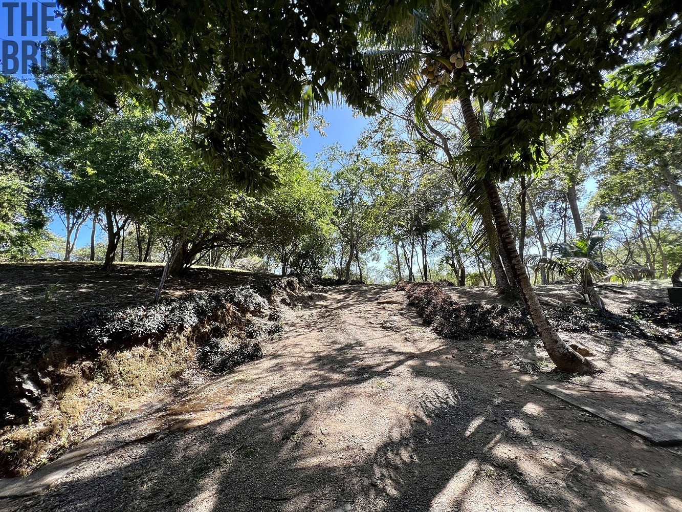 Pozemek pro bydlení · Coxen Hole, Roatán, Honduras - 4