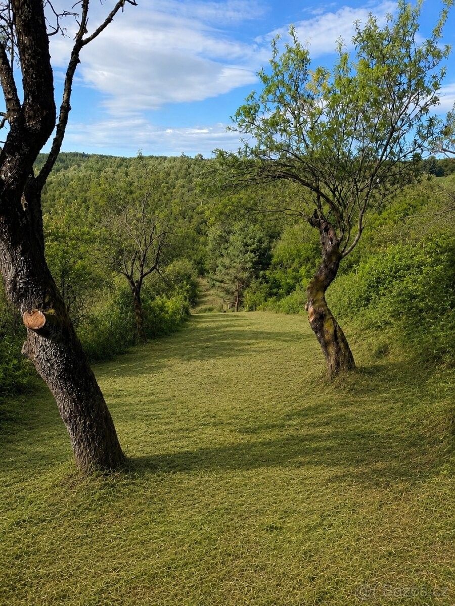 Zahrady, Dolní Kounice, 664 64 - 2