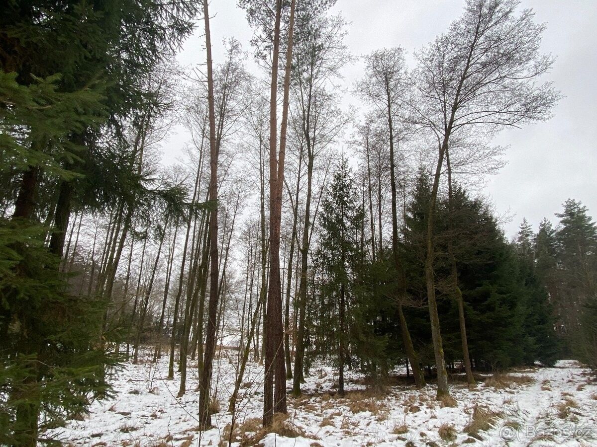 Prodej pozemek pro bydlení - Holice v Čechách, 534 01