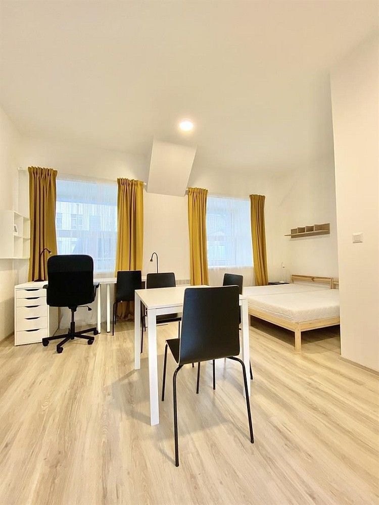 1+kk, Brno - Staré Brno, okres Brno-město, Jihomoravský kraj, 25 m² - 1