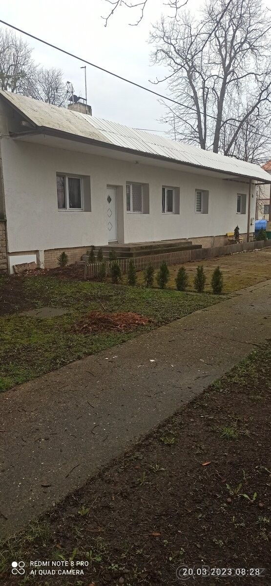 Prodej obchodní prostory - Opočnice, 289 04