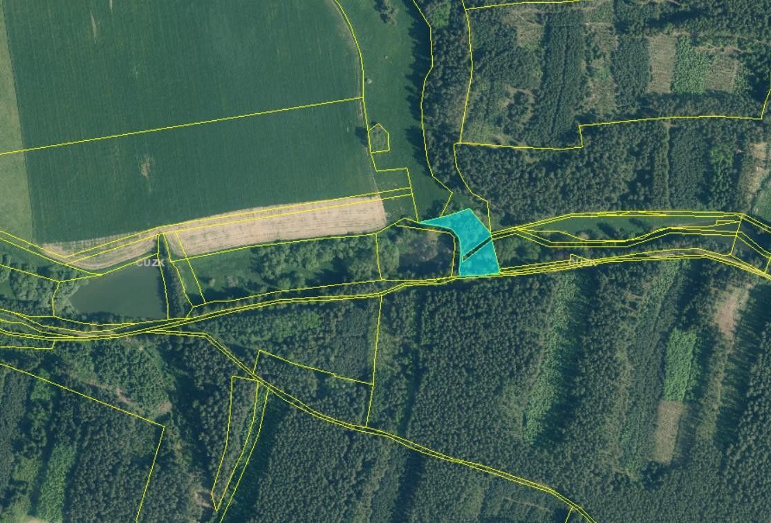 Louky, Damnov, Bor, 2 963 m² - 2