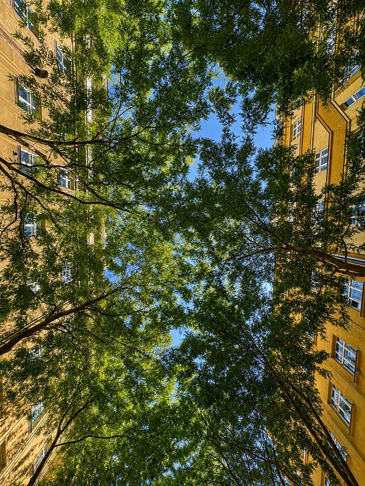 Byt 3+1 · 112 m² · Praha - Vinohrady, okres Praha 3, Hlavní město Praha - 4