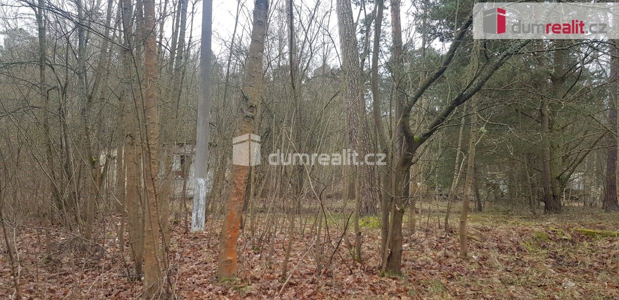 Prodej komerční pozemek - Zelená, Luštěnice, 636 m² - 5