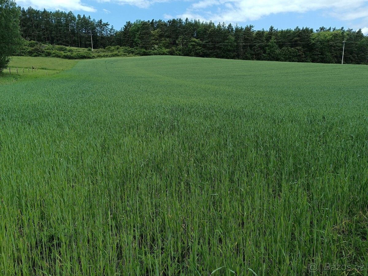 Pronájem pozemek pro bydlení - Třemošná, 330 11