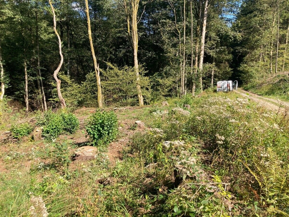 Pozemky pro bydlení, Štíty, 789 91