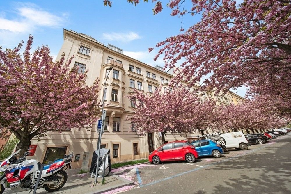 3+1, Čápkova, Brno Veveří, 117 m² - 2