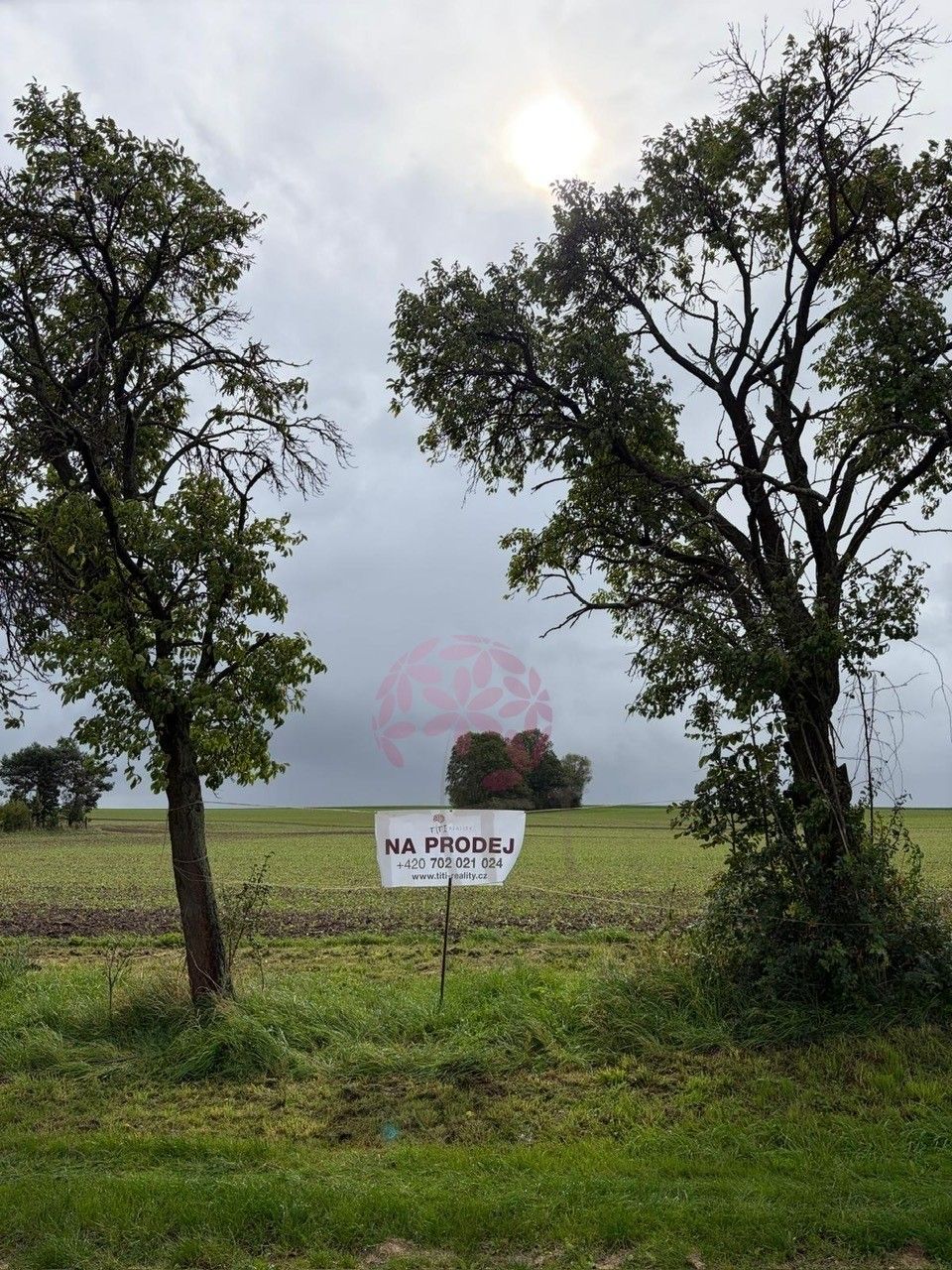 Pozemek pro bydlení · 8 252 m² · Klenice, Stračov - 4