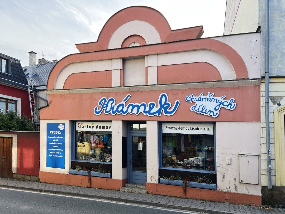 Obchodní prostory, Žamberk, 564 01