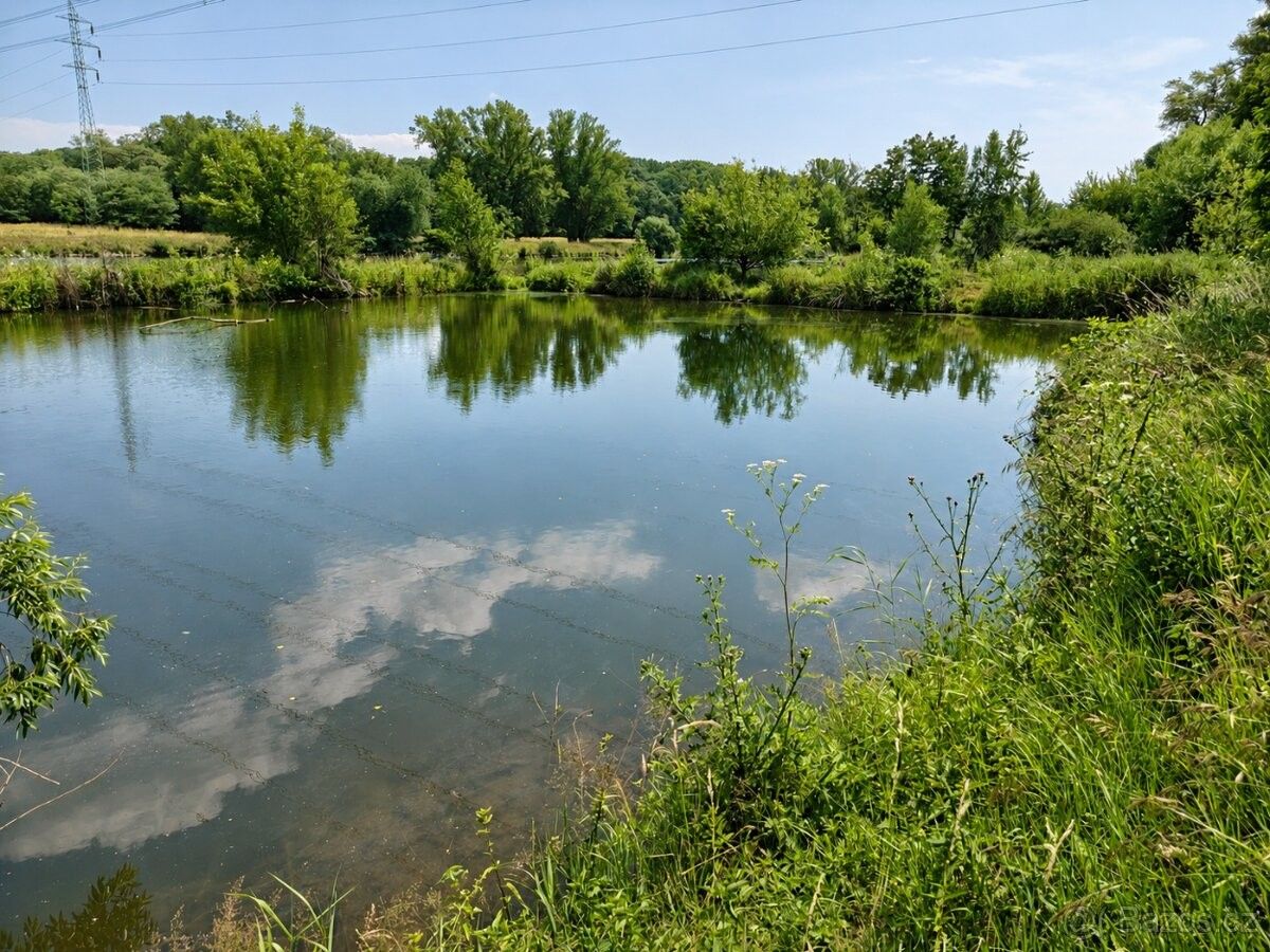 Zahrady, Nová Ves u Mělníka, 277 52 - 2