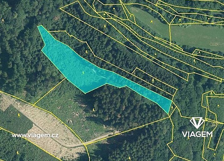 Prodej les - Počátky, okres Pelhřimov, Kraj Vysočina - 2