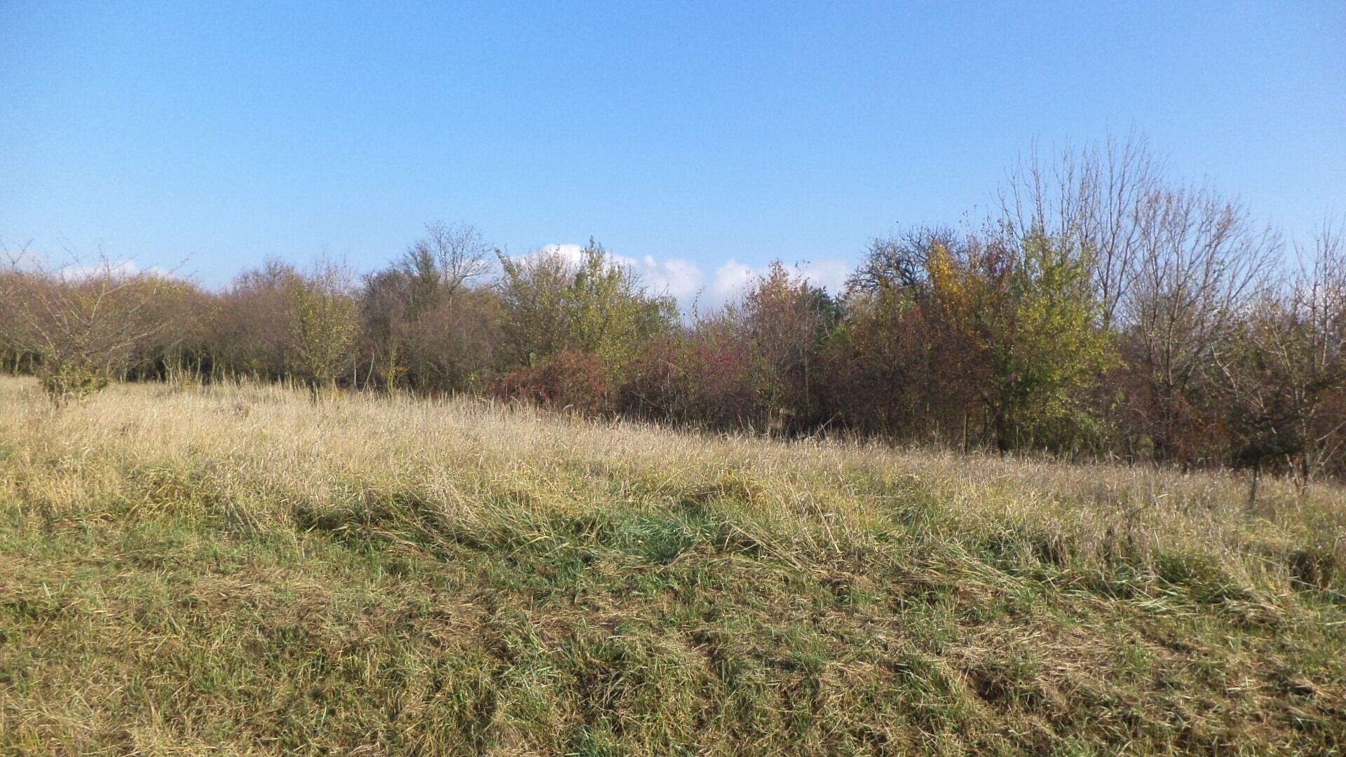 Zahrady, Otrokovice, 503 m²