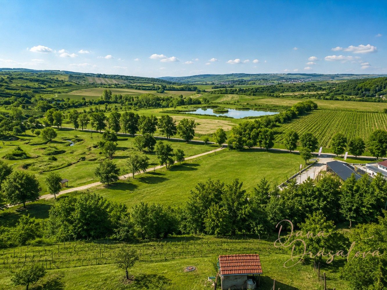 Komerční pozemky, Velké Pavlovice, okres Břeclav, Jihomoravský kraj - 2