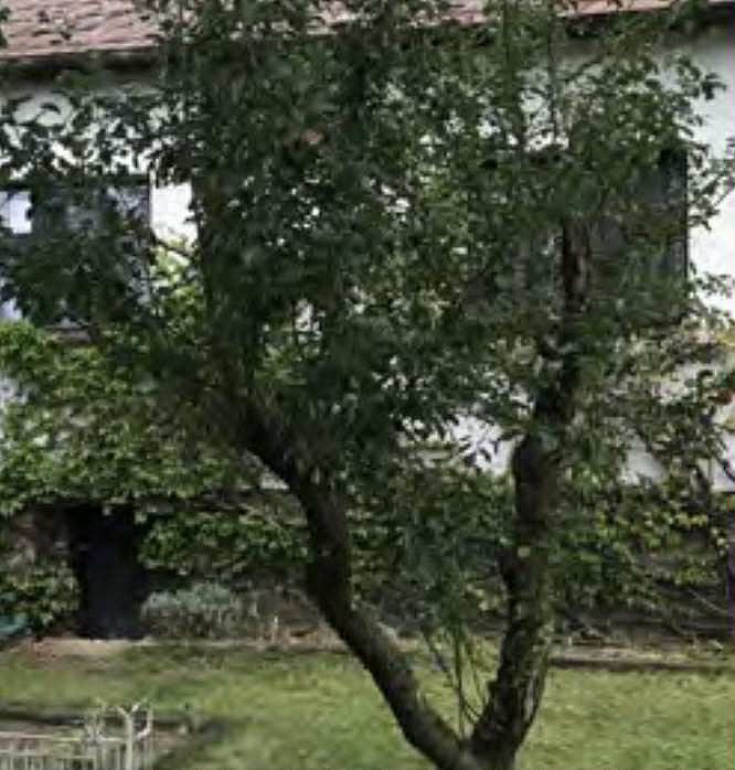 Prodej rodinný dům - Slapy, 70 m² - 2