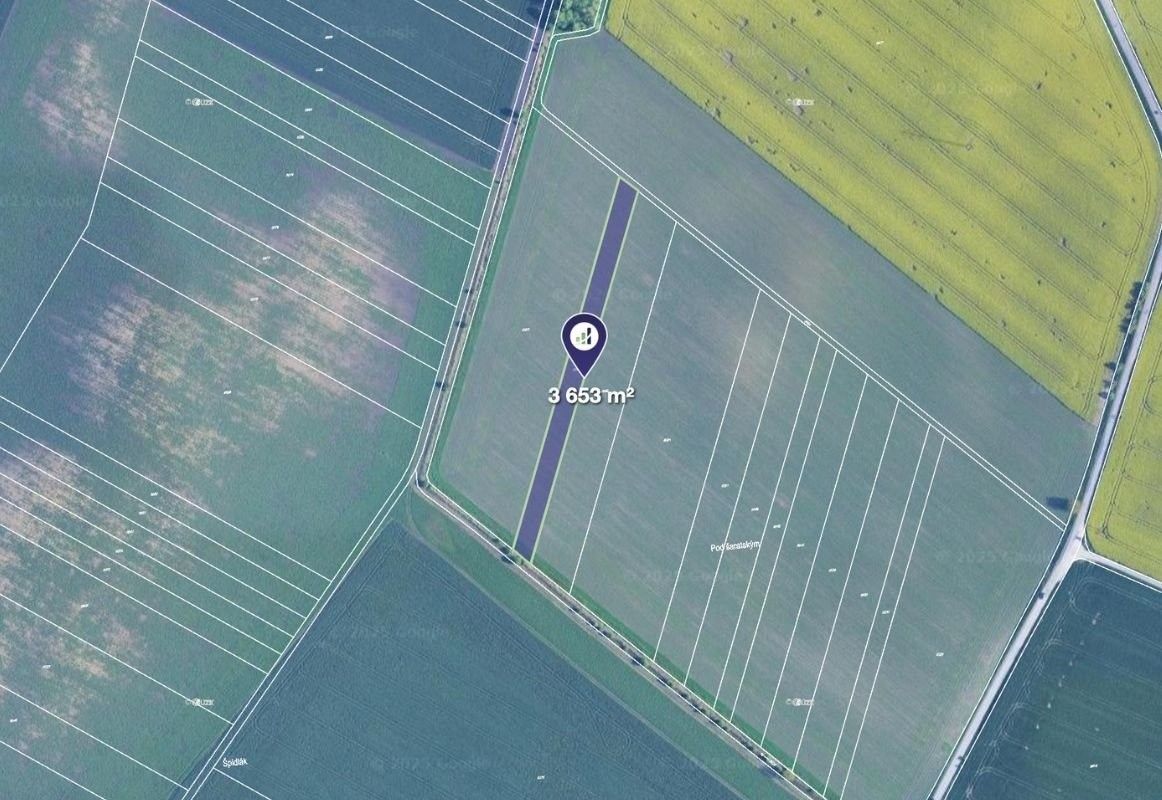 Zemědělské pozemky, Těšany, 3 653 m²