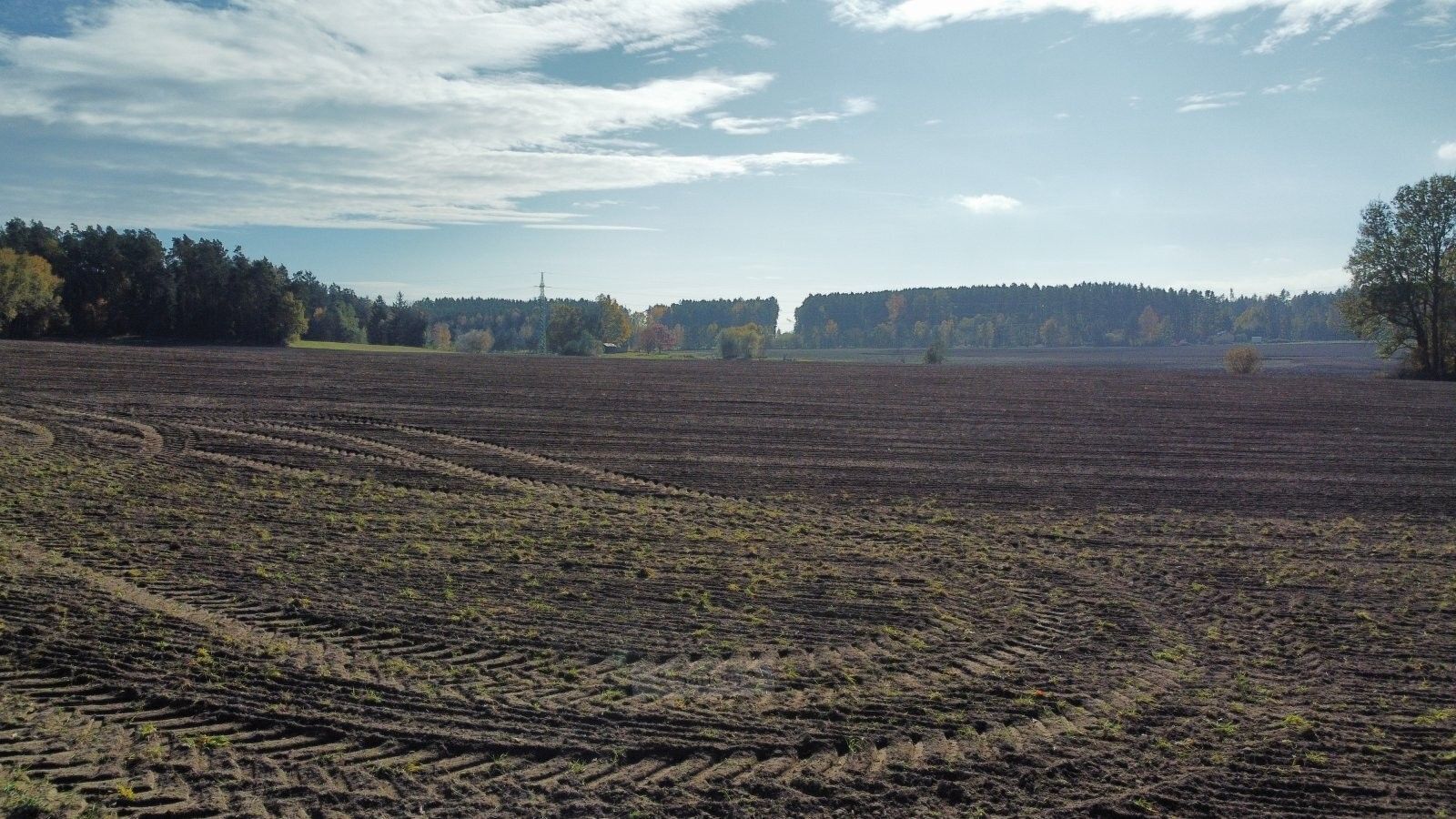 Prodej zemědělský pozemek - Řípec, 49 992 m² - 5