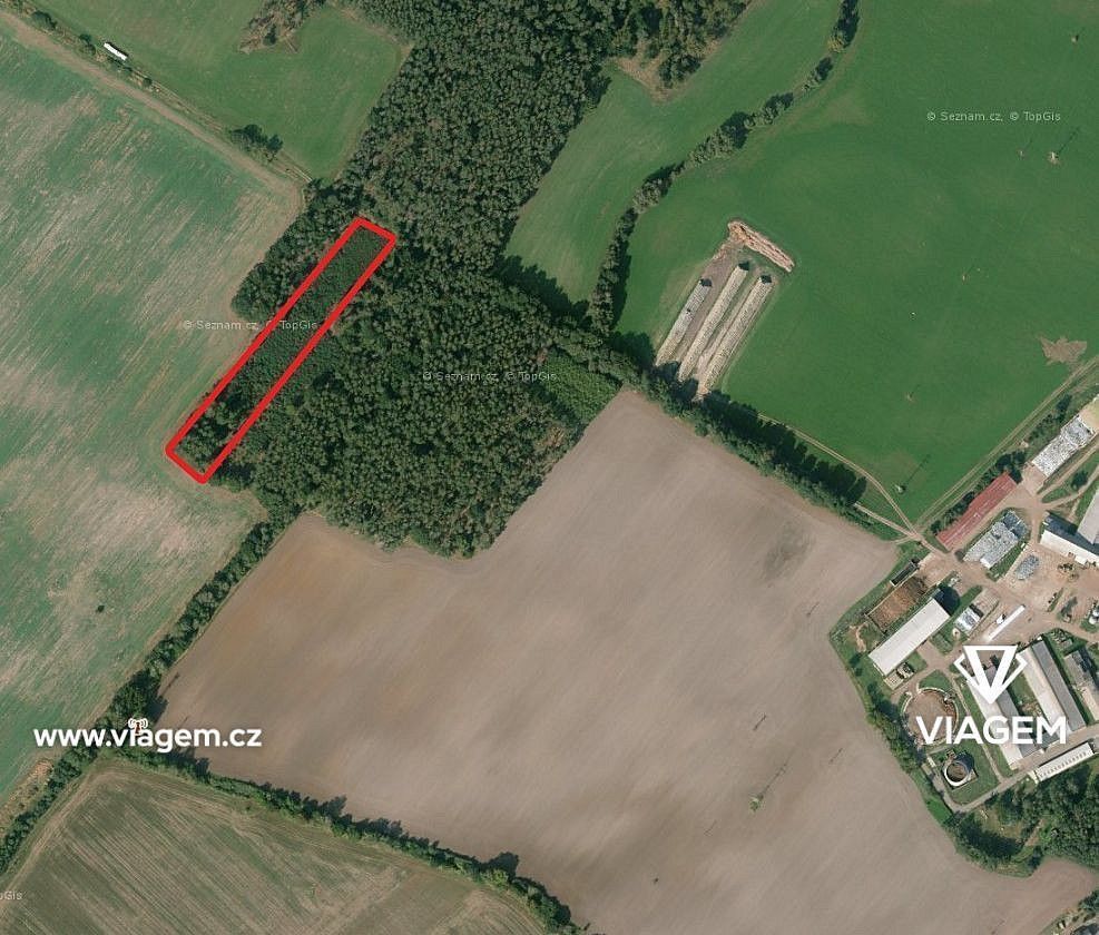 Prodej les - Živanice, okres Pardubice, Pardubický kraj - 1