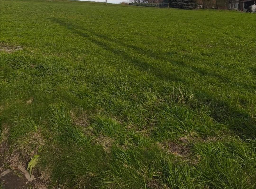 Pozemky pro bydlení, Třinec, 739 61