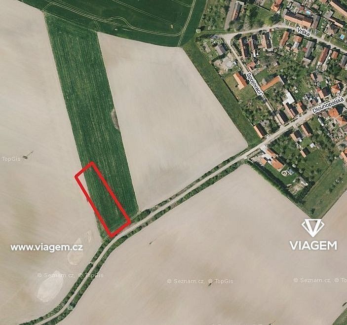 Zemědělské pozemky, Běrunice, okres Nymburk, Středočeský kraj - 2