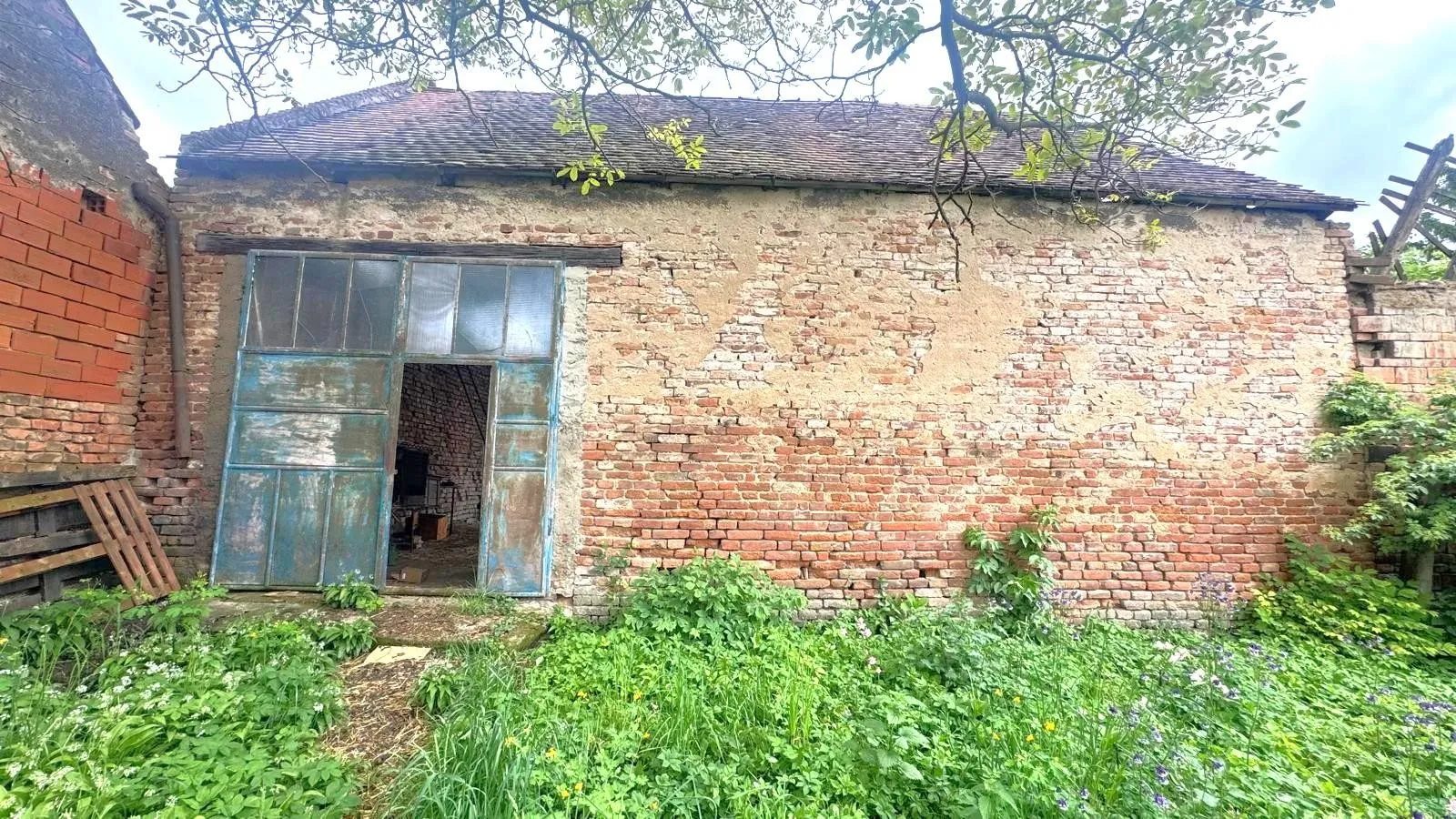 Ostatní