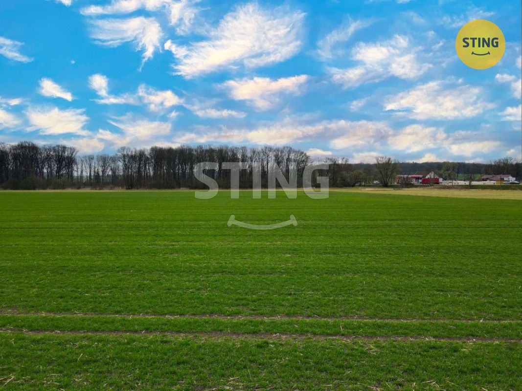 Pozemky pro bydlení, Nechanice, 503 15