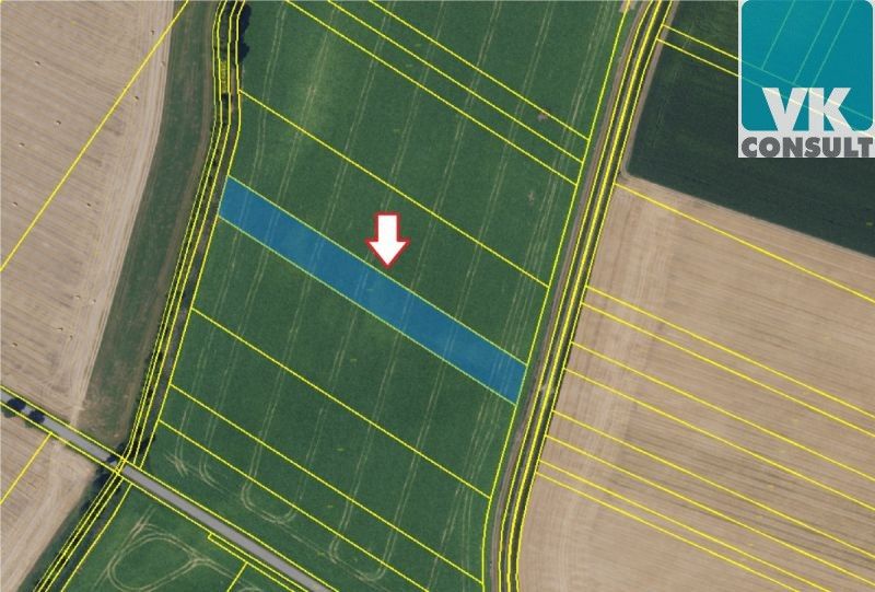 Prodej zemědělský pozemek - Šebetov