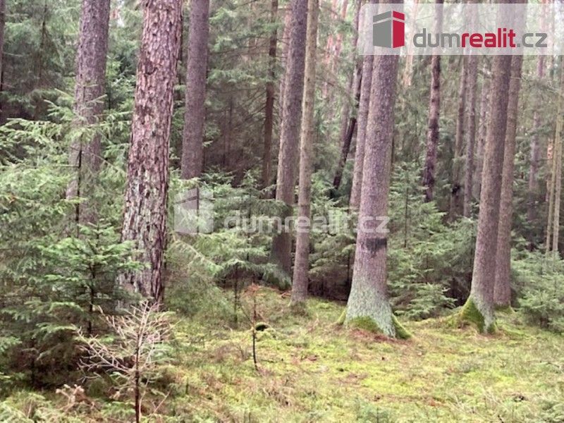 Prodej les - Líšnice, Sepekov, 69 300 m²