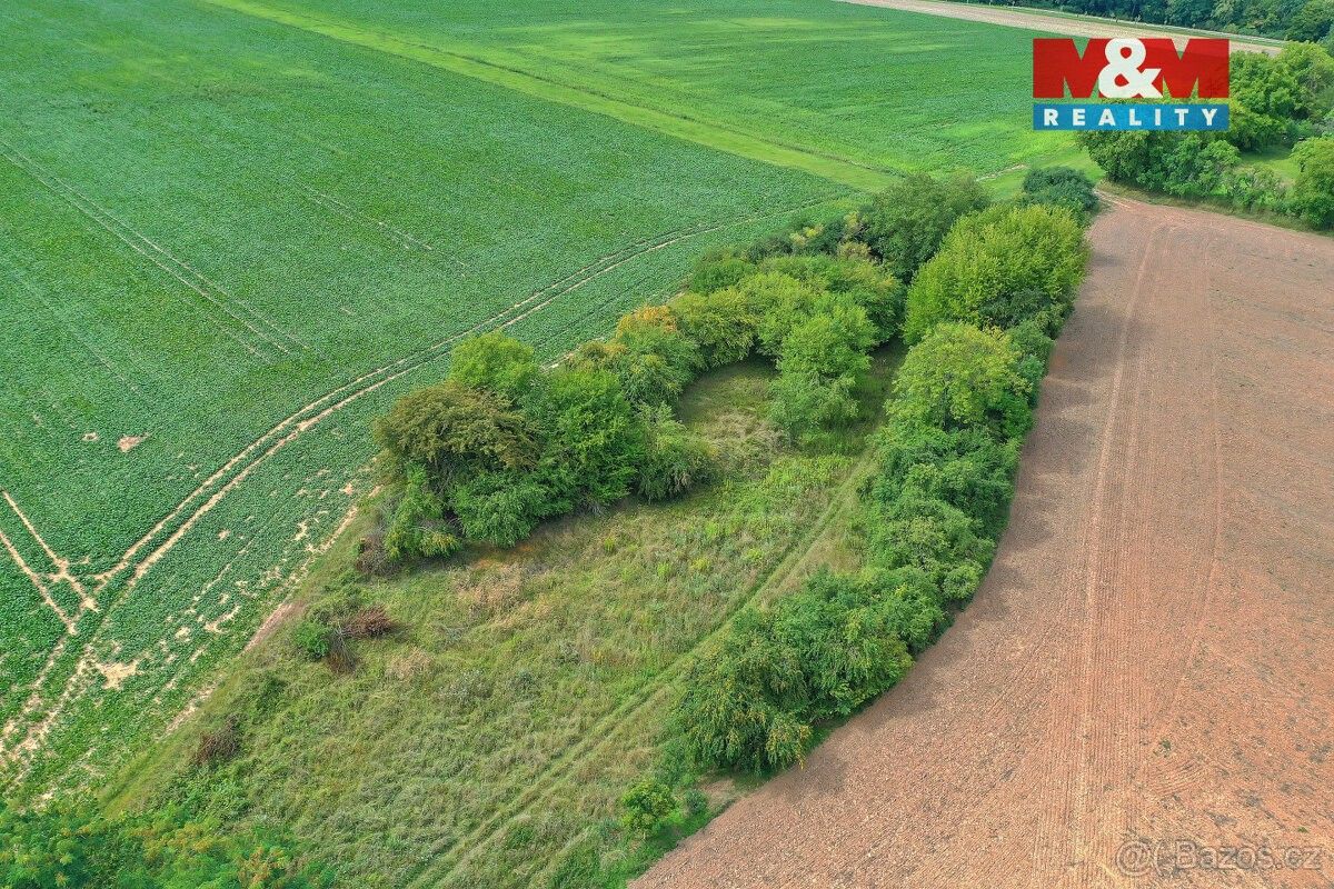 Prodej pozemek pro bydlení - Velké Všelisy, 294 27