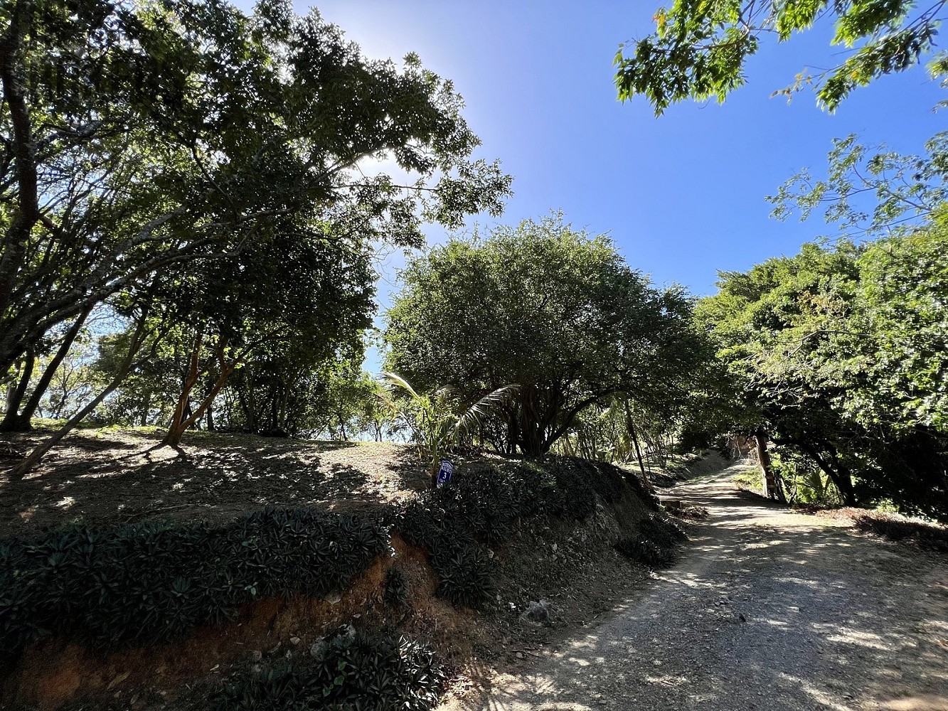 Pozemek pro bydlení · Coxen Hole, Roatán, Honduras - 3