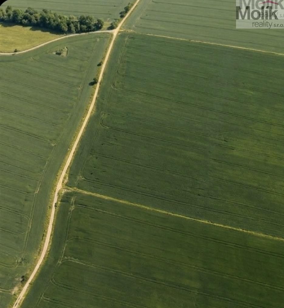 Zemědělský pozemek · 3 780 m² · Malotice - 3