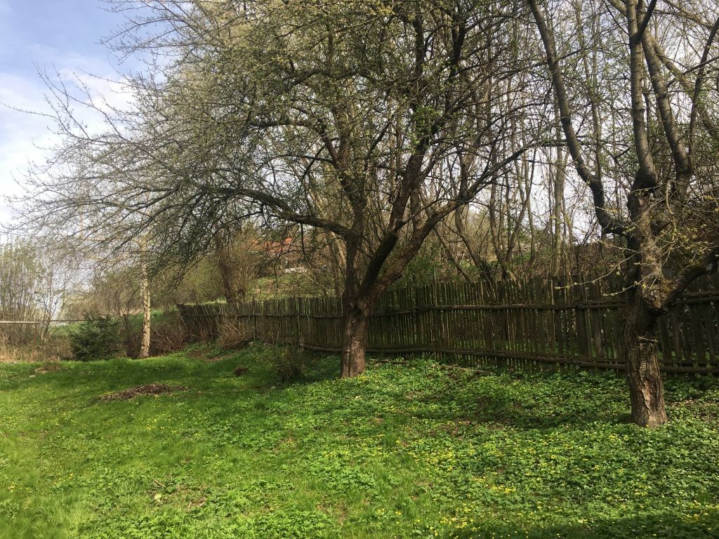 Prodej zahrada - Strháře, 961 m² - 5