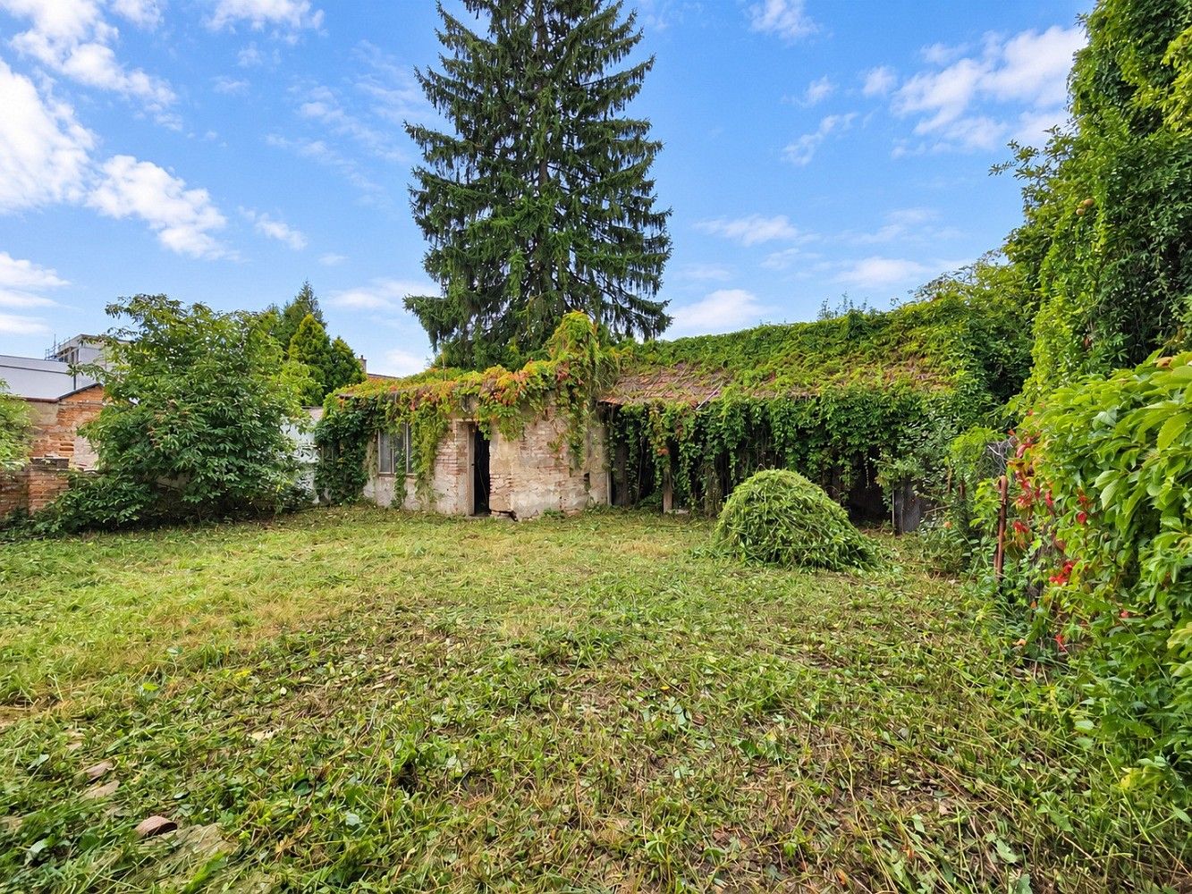 Prodej rodinný dům - Pelclova, Kostelec nad Orlicí, okres Rychnov nad Kněžnou, 240 m² - 5