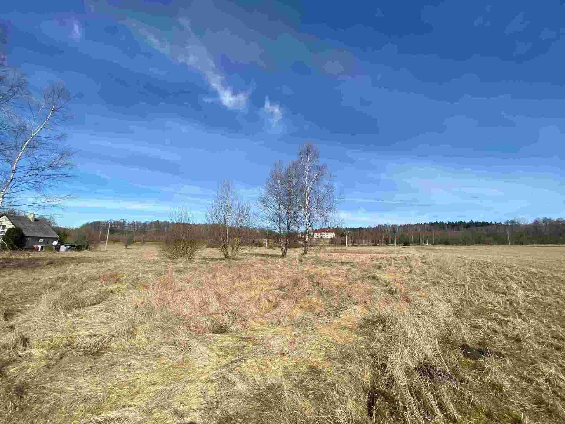 Zemědělské pozemky, Nový Žďár, Aš, 3 m²