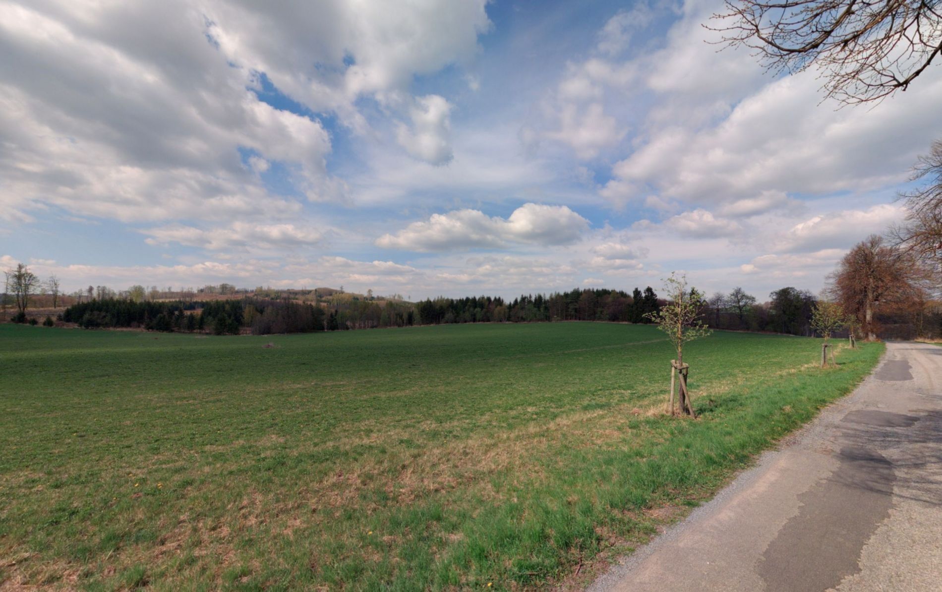 Prodej zemědělský pozemek - Kamenice - 2
