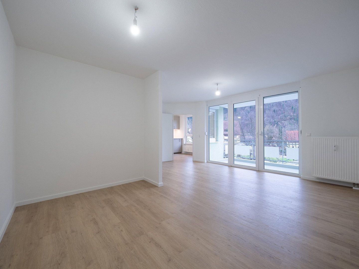 1+kk, , Bádensko-Württembersko, 45 m² - 1