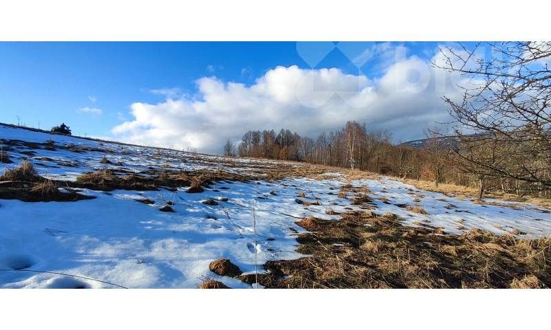Prodej louka - Rudník - 5