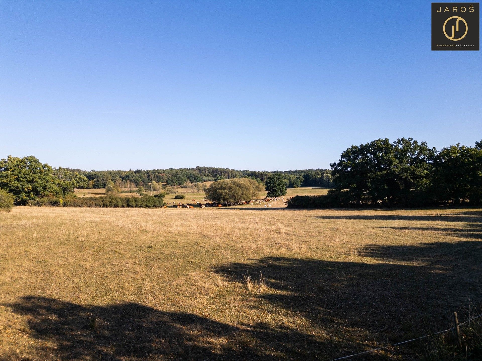 Prodej pozemek pro bydlení - Bořice, Mirotice