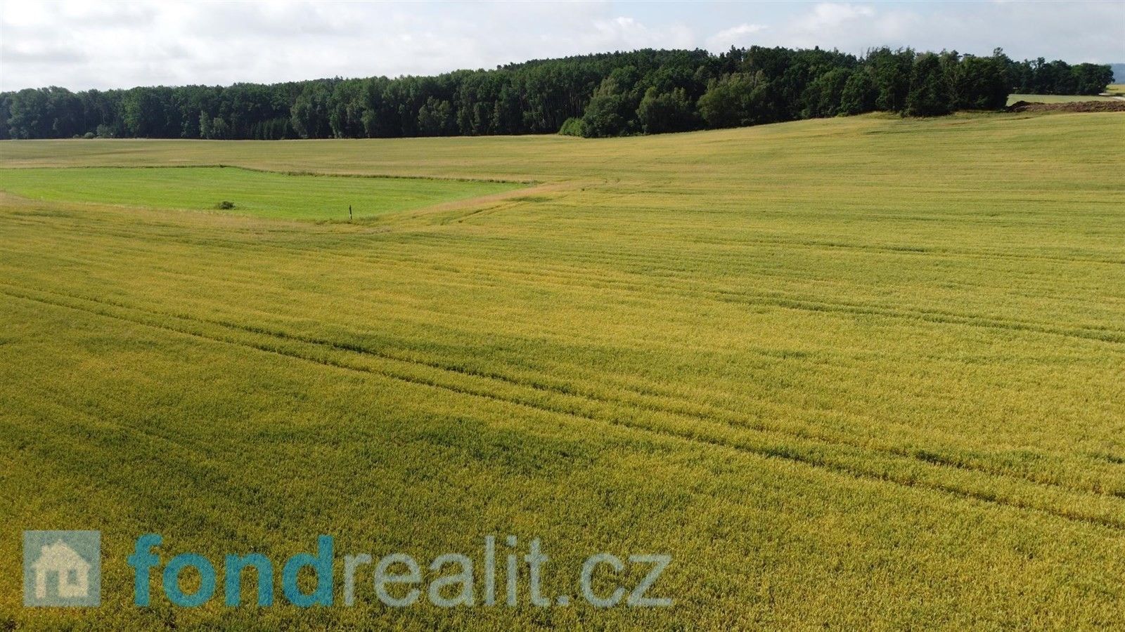 Zemědělské pozemky, Radošovice, 12 505 m²