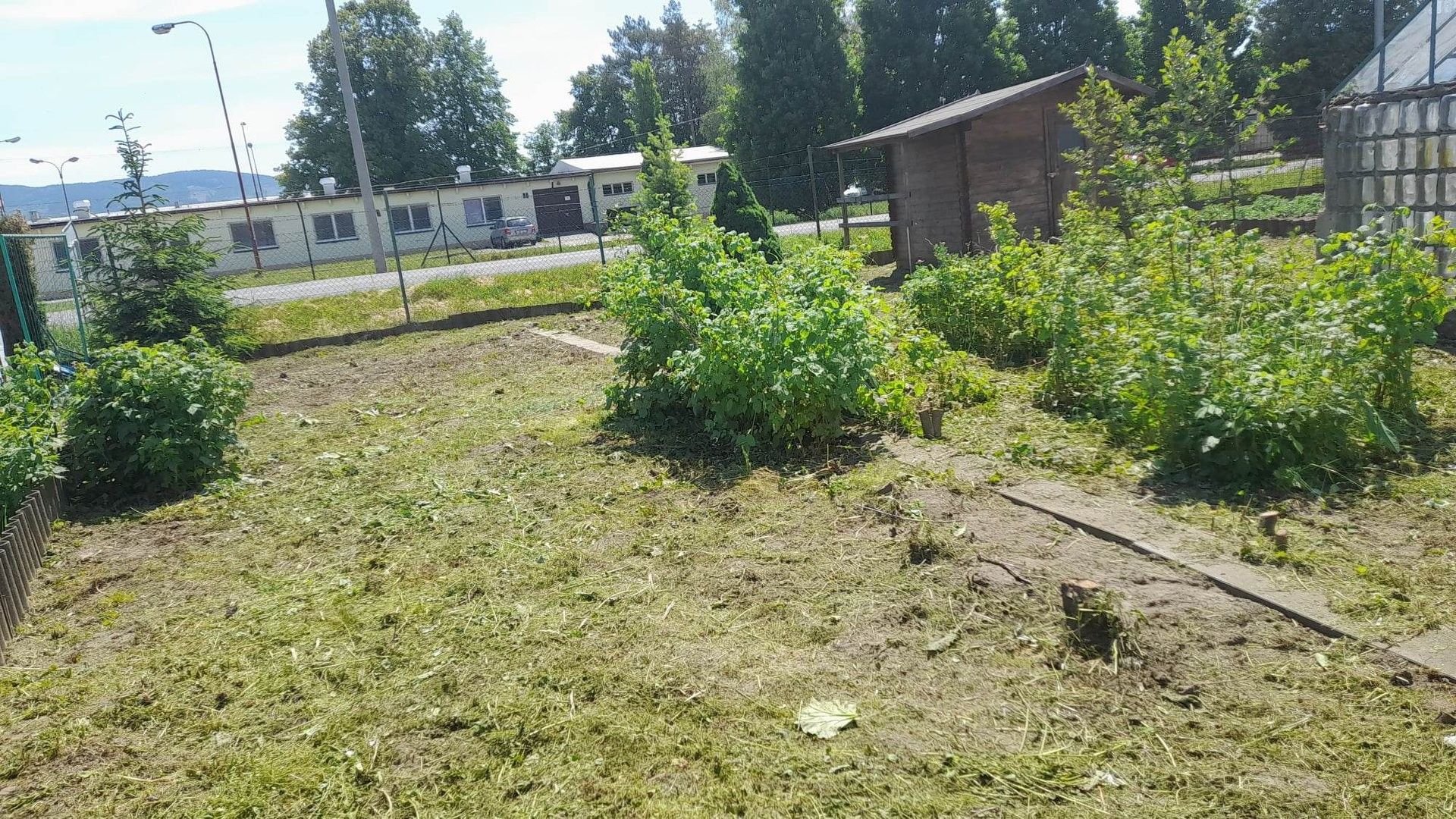 Zahrada · Vikýřovická, Šumperk - 4