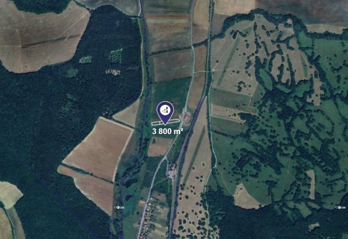 Prodej zemědělský pozemek - Javorník, 3 800 m²