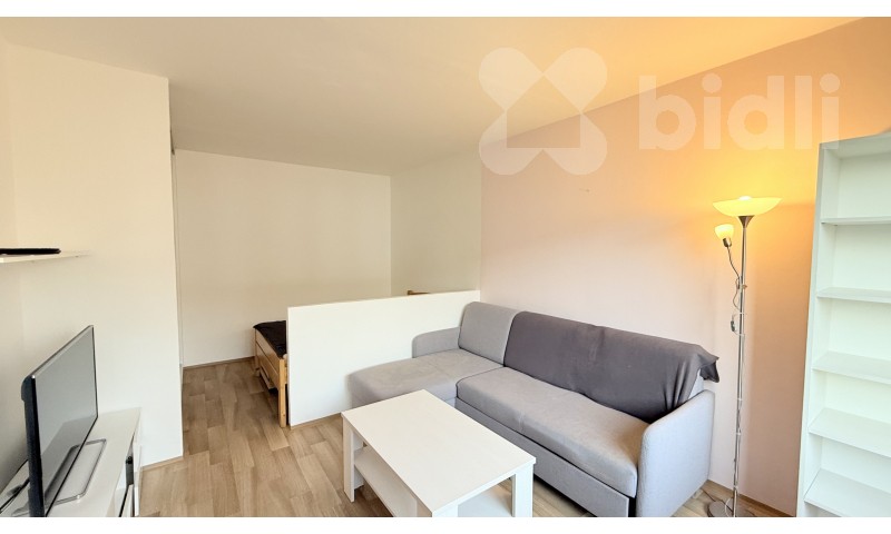 Byt 1+1 · 40 m² · Na Lužci 510, Lázně Bohdaneč - 4